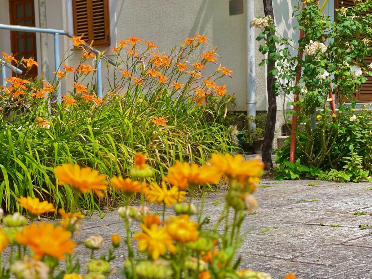 Apartment Garden House Budva